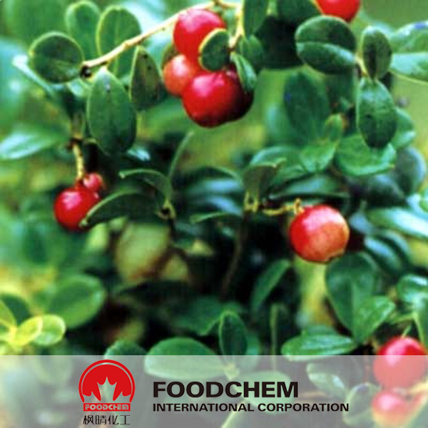 Bearberry Extract